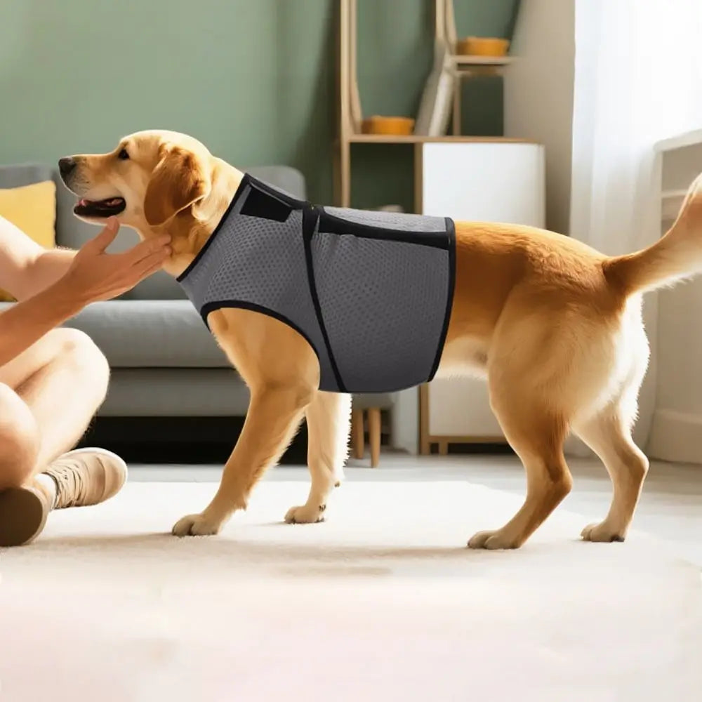 Comfort Clothing Breathable Dog Anxiety Vest Secure Adjustable Dog Soothing Clothes Soft Comfortable Pet Calming Shirt Travel