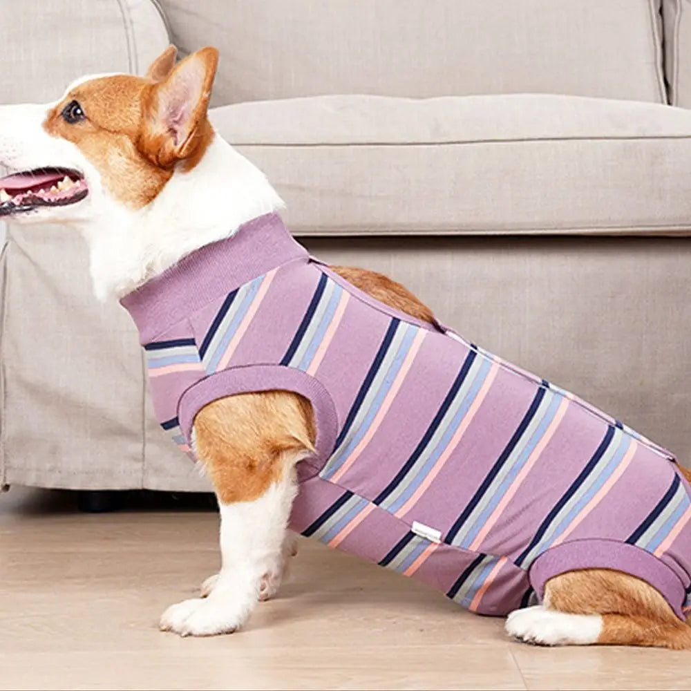 Breathable Dog Surgery Recovery Suit Thickened Soft Warm Postoperative Clothes Comfortable Bite Protective Outfit Home Recovery
