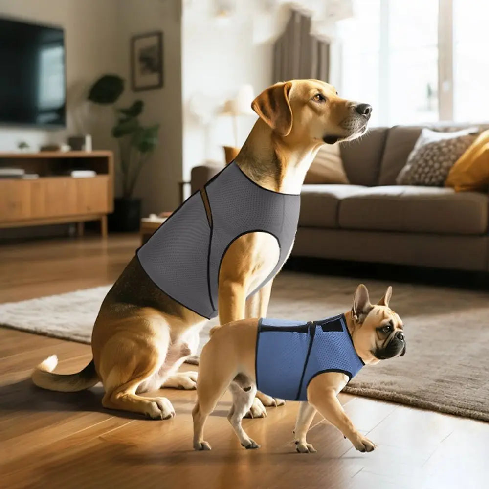 Comfort Clothing Breathable Dog Anxiety Vest Secure Adjustable Dog Soothing Clothes Soft Comfortable Pet Calming Shirt Travel