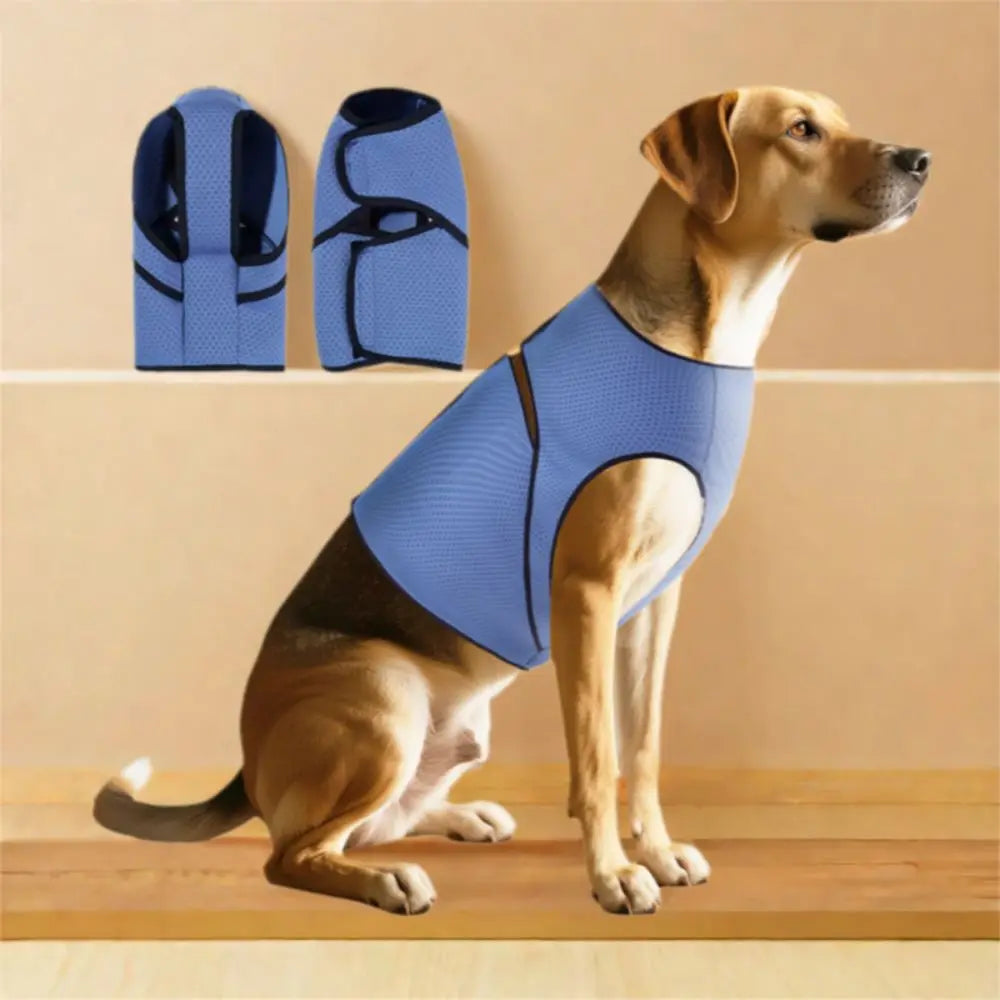 Comfort Clothing Breathable Dog Anxiety Vest Secure Adjustable Dog Soothing Clothes Soft Comfortable Pet Calming Shirt Travel