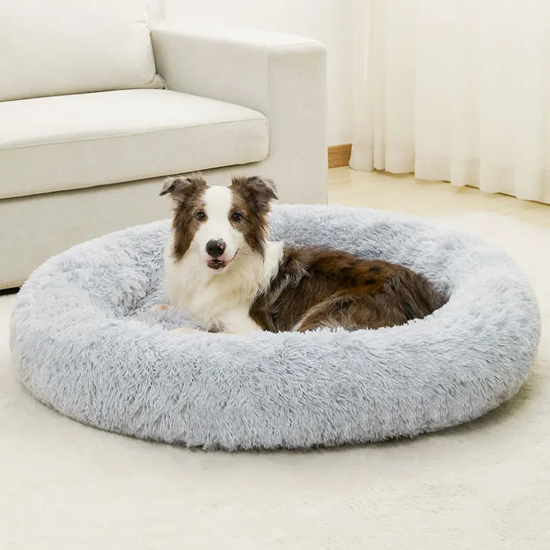 Toy, Bed & Bowl