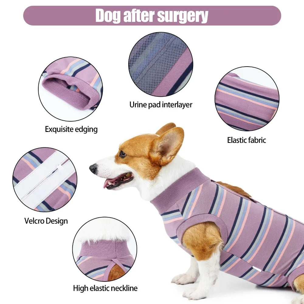 Breathable Dog Surgery Recovery Suit Thickened Soft Warm Postoperative Clothes Comfortable Bite Protective Outfit Home Recovery
