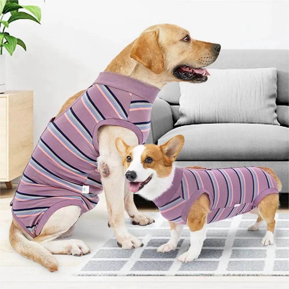 Breathable Dog Surgery Recovery Suit Thickened Soft Warm Postoperative Clothes Comfortable Bite Protective Outfit Home Recovery