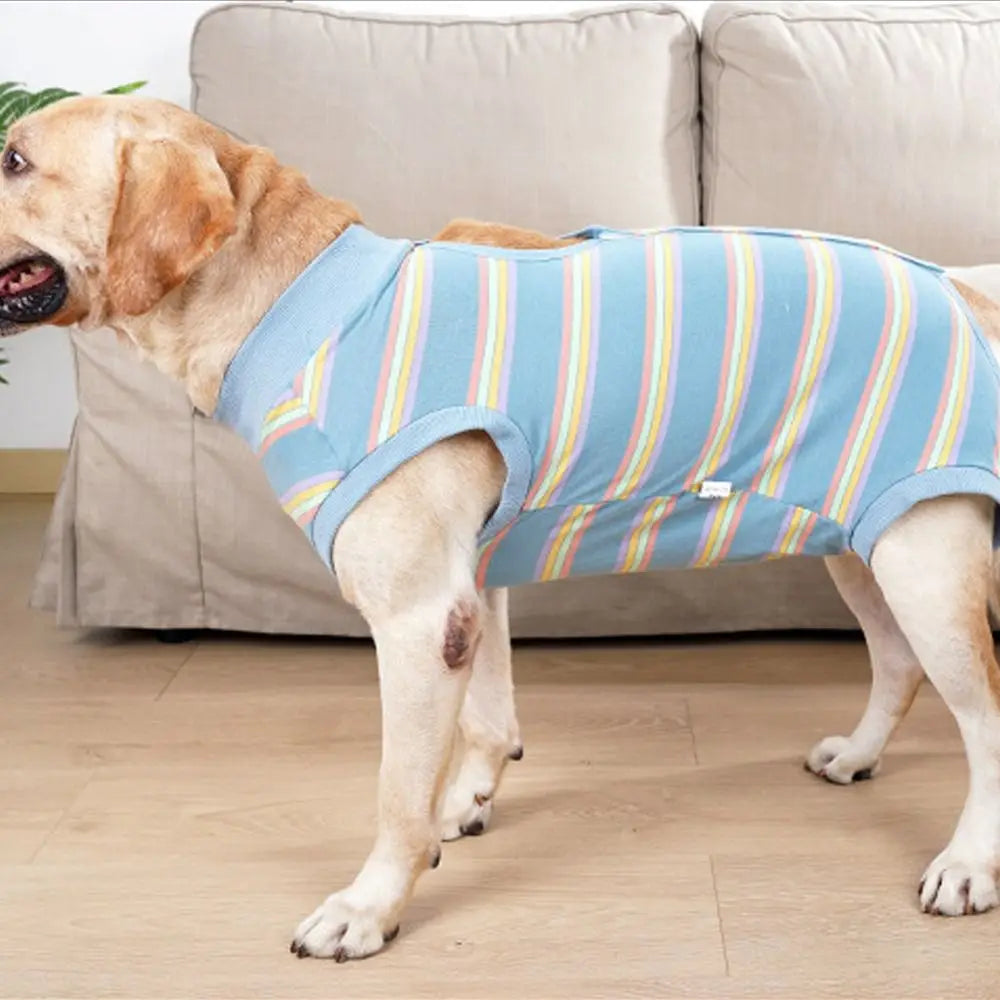 Breathable Dog Surgery Recovery Suit Thickened Soft Warm Postoperative Clothes Comfortable Bite Protective Outfit Home Recovery