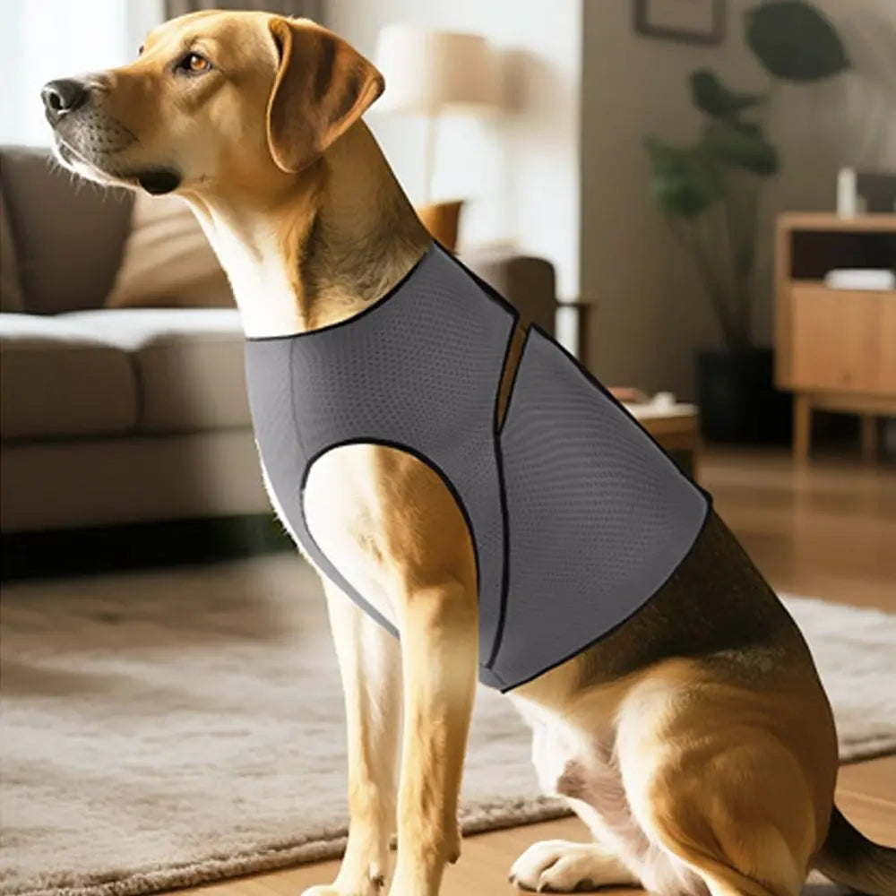 Comfort Clothing Breathable Dog Anxiety Vest Secure Adjustable Dog Soothing Clothes Soft Comfortable Pet Calming Shirt Travel