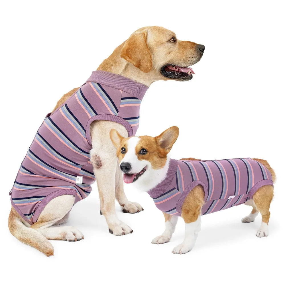 Breathable Dog Surgery Recovery Suit Thickened Soft Warm Postoperative Clothes Comfortable Bite Protective Outfit Home Recovery