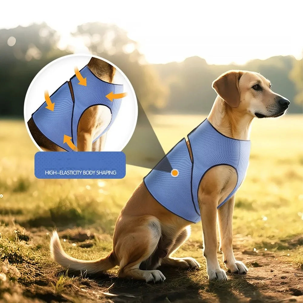 Comfort Clothing Breathable Dog Anxiety Vest Secure Adjustable Dog Soothing Clothes Soft Comfortable Pet Calming Shirt Travel